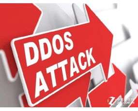 Web编程与网络安全 中国最专业的技术门户如何引领新时代