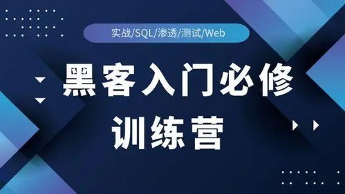 2025最新 网络安全行业的副业选择与互联网安全服务